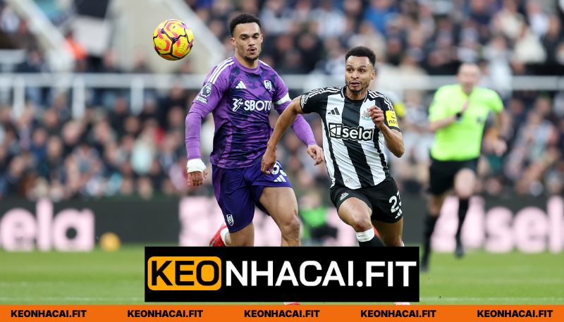 Phong độ Fulham vs Newcastle United mới nhất