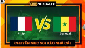Nhận Định Pháp Vs Senegal Lúc 02H Ngày 17/06 - World Cup