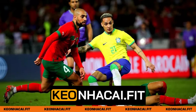 Thành tích gần đây Brazil vs Ma Rốc